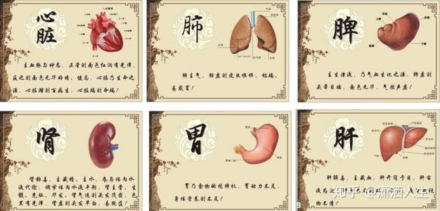 石家庄饮食集团技工学校：滋养五脏，应该分着吃